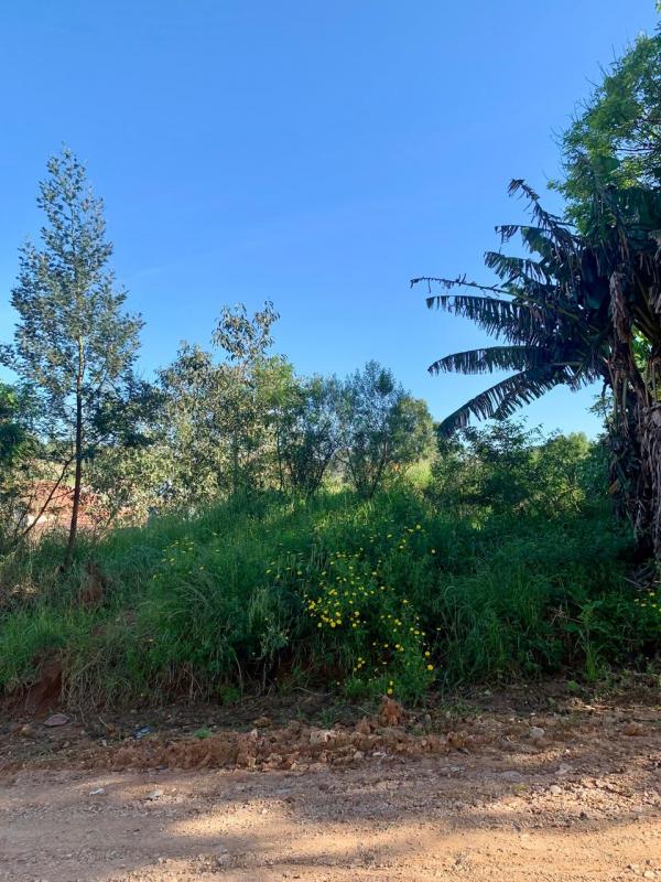  | Terreno para Venda - bairro floresta - Camaquã